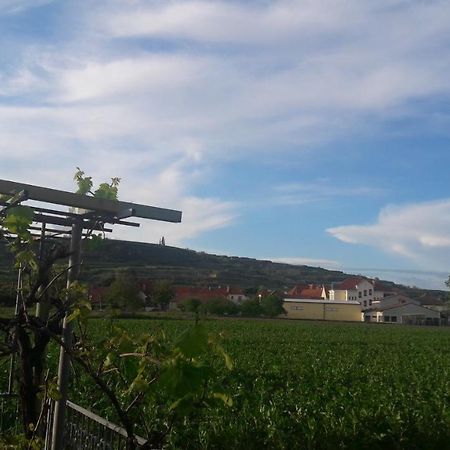 Pansion Brda Leilighet Rohrendorf bei Krems Eksteriør bilde