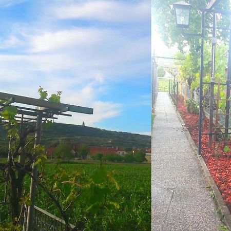 Pansion Brda Leilighet Rohrendorf bei Krems Eksteriør bilde